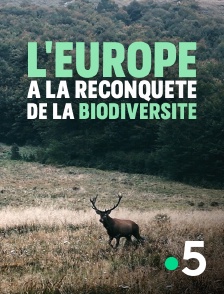 L'Europe à la reconquête de la biodiversité