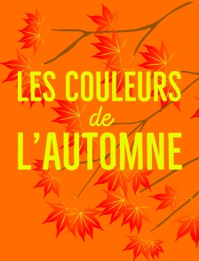 Les couleurs de l'automne