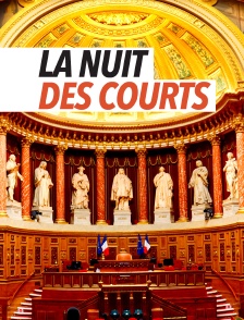 La nuit des courts