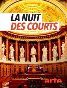 Arte - La nuit des courts