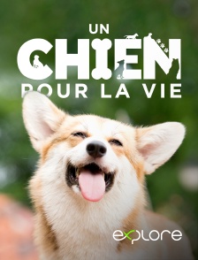 EXPLORE - Un chien pour la vie