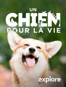 EXPLORE - Un chien pour la vie