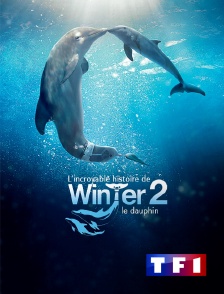 TF1 - L'incroyable histoire de Winter le dauphin 2