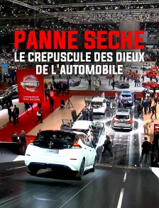 Panne sèche, le crépuscule des dieux de l'automobile