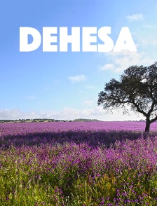 Dehesa