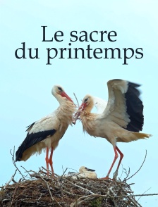 Le sacre du printemps