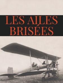 Les ailes brisées