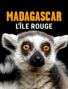 Madagascar, l'île rouge