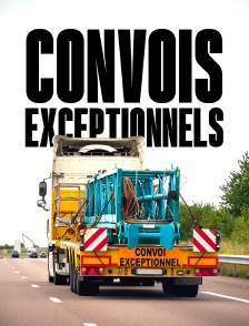Convois exceptionnels : transports de l'extrême en famille