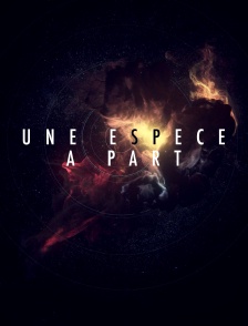 Une espèce à part