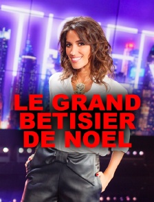 Le grand bêtisier de Noël