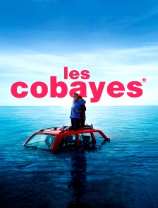 Les Cobayes