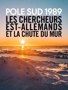 Pôle Sud 1989 : Les chercheurs est-allemands et la chute du mur