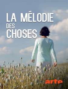 Arte - La mélodie des choses