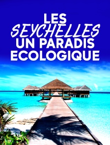 Les Seychelles, un paradis écologique