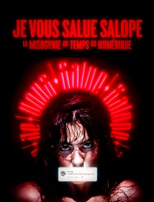 Je vous salue salope : la misogynie au temps du numérique