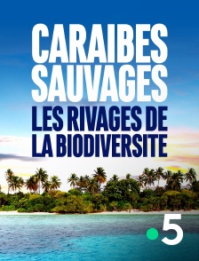 France 5 - Caraïbes sauvages, les rivages de la biodiversité