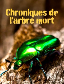 Chroniques de l'arbre mort