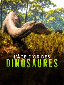 L'âge d'or des dinosaures