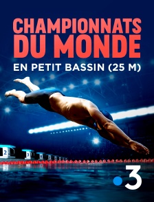 France 3 - Championnats du monde de natation en petit bassin