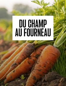 Du champ au fourneau