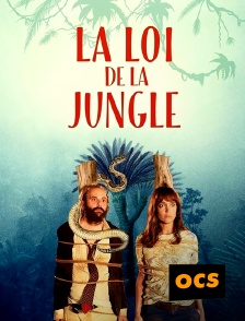 OCS - La loi de la jungle