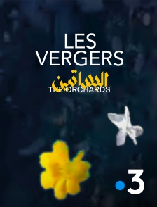 France 3 - Les vergers