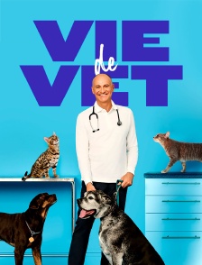 Vie de vet