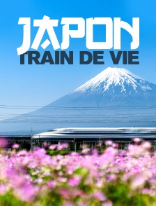 Japon, train de vie