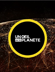 Un oeil sur la planète