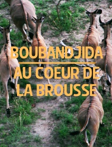 Boubandjida, au coeur de la brousse