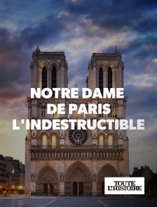 Toute l'Histoire - Notre Dame de Paris, l'indestructible