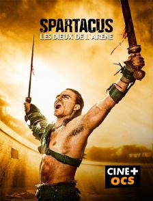 CINÉ Cinéma - Spartacus : les dieux de l'arène