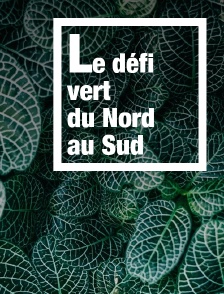 Le défi vert du Nord au Sud