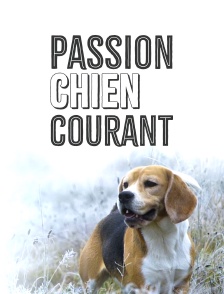 Passion chien courant