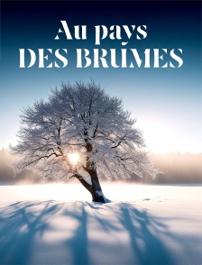 Aux pays des brumes, un hiver balte