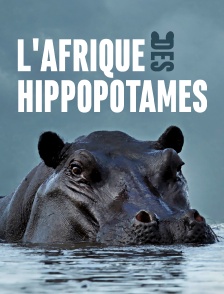 L'Afrique des hippopotames