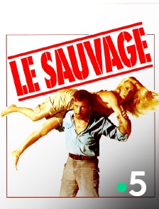 France 5 - Le sauvage