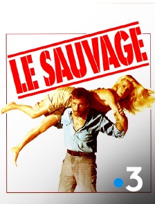 France 3 - Le sauvage