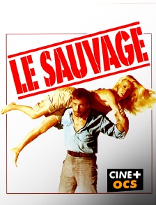 CINÉ Cinéma - Le sauvage