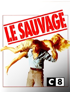 C8 - Le sauvage