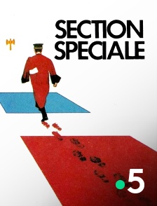 Section spéciale