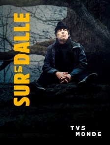 TV5MONDE - Sur la dalle