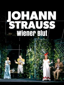 Johann Strauss : "Wiener Blut" au château de Schönbrunn à Vienne