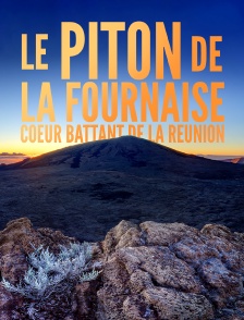 Le piton de la Fournaise : coeur battant de la Réunion