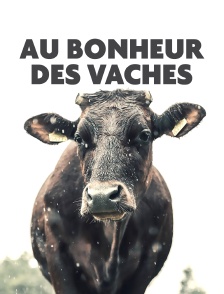 Au bonheur des vaches
