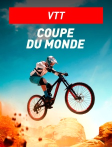 VTT : Coupe du monde