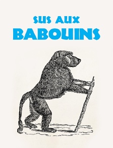 Sus aux babouins