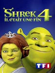 TF1 - Shrek 4 : il était une fin