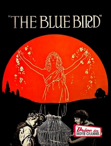 The Blue Bird